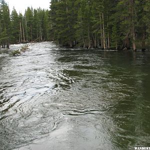 Tuolumne River with high spring runoff.