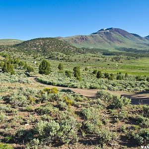 Meadow Canyon & Mount Jefferson