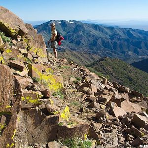 The Return Trail