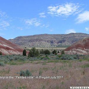 Accrete's 2011 July trip to the Painted Hills, Oregon