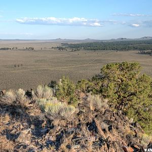 Pine Mt, view southeast:  Eastern edge of Oregon forests