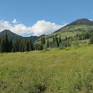 Near Crested Butte