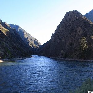 Salmon River