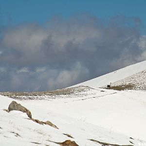 Ophir Summit