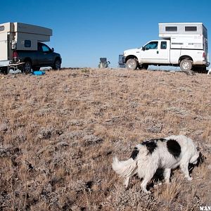 Camp-Morning on Top of the Rim (with camp-dog)