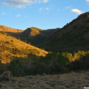 Evening Light at Stewart Creek