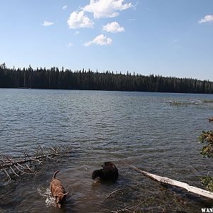 Deer Lake