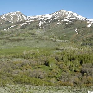 Bull Run Basin & Mountains