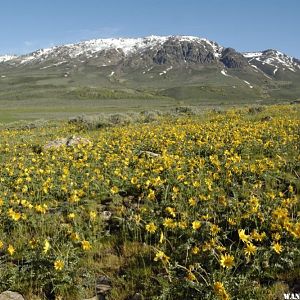 Bull Run Basin & Mountains