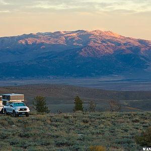 Dawn Light & FWC in Camp