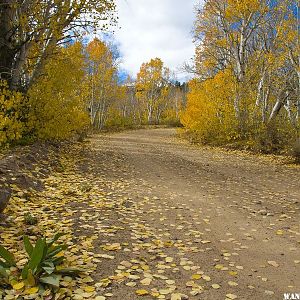 Dunderburg Meadows Road