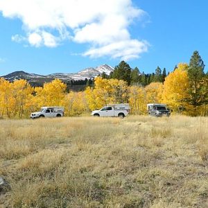 Eastern sierras fall colors