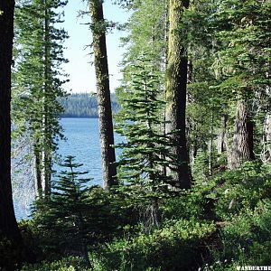 Juniper lake