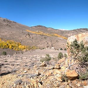 Bodie Hills Aspen