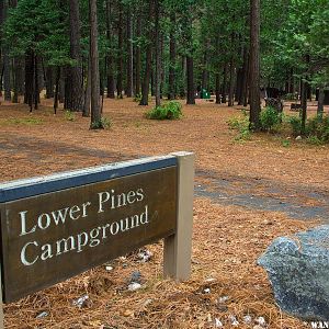 Lower Pines Campground