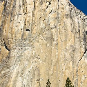 El Capitan Climbers