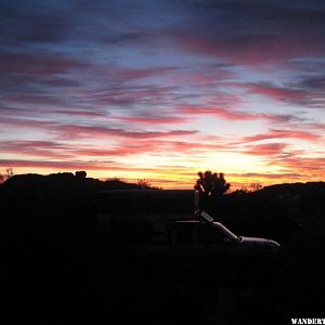 103 Sunrise Joshua Tree (1024x768).jpg