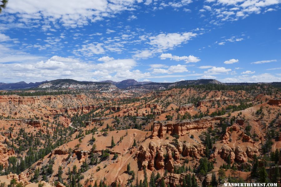 '18 E02 UT RED CANYON