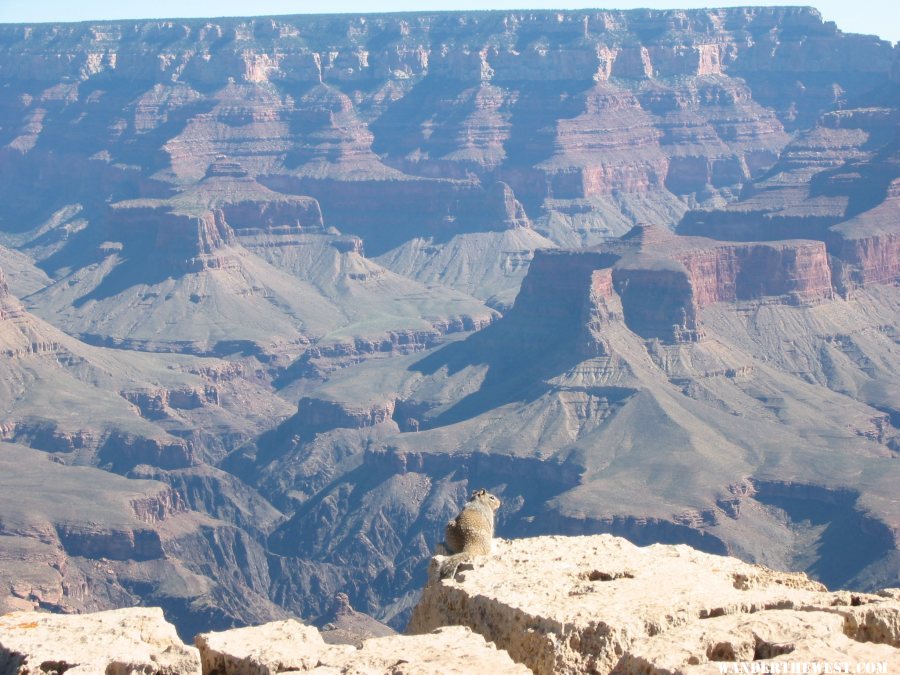 2013 104 GRAND CANYON SRIM SQUIRREL YAKI PT