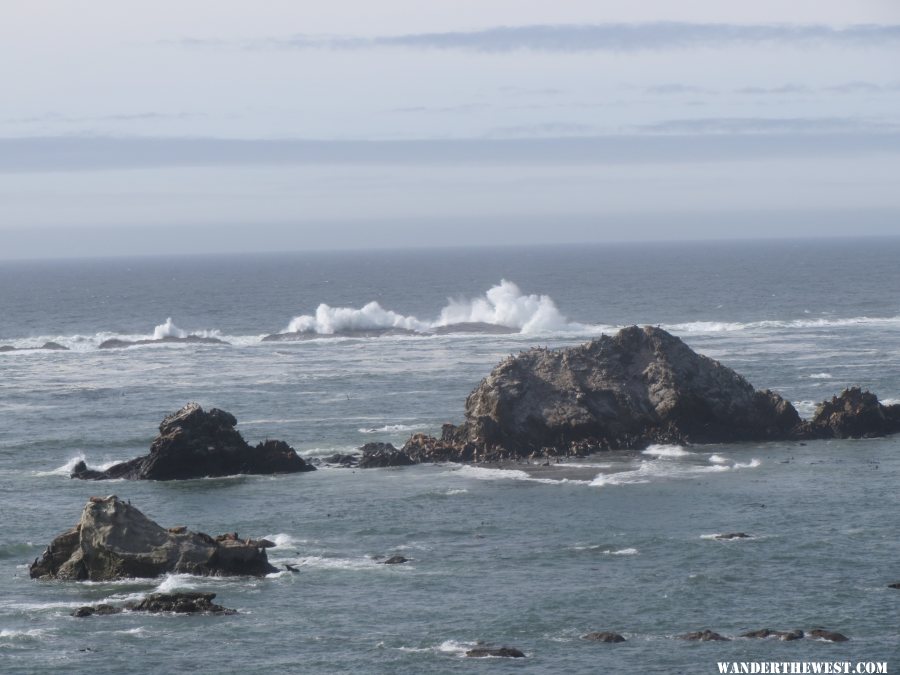 2014 OR J20  CAPE ARAGO SP