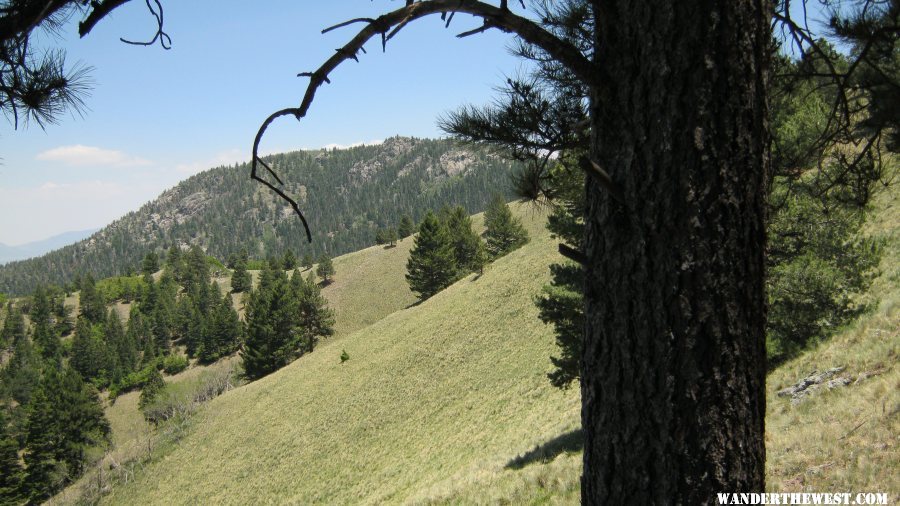 Along the Crest Trail near Monjeau