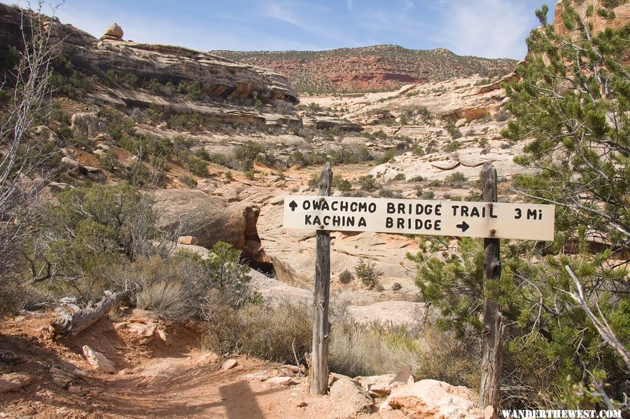 Along the Loop Trail