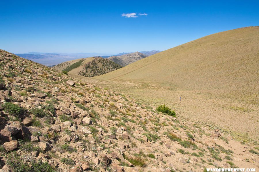 Along the Toiyabe Crest