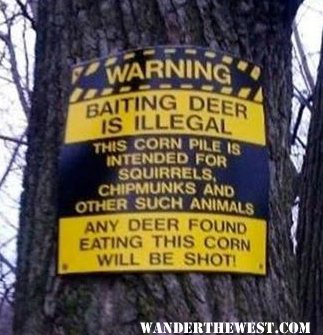 Baiting Deer Sign