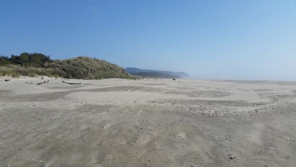 Beachside looking South