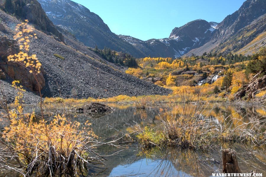 Beaver Pond with mid-pond Lodge