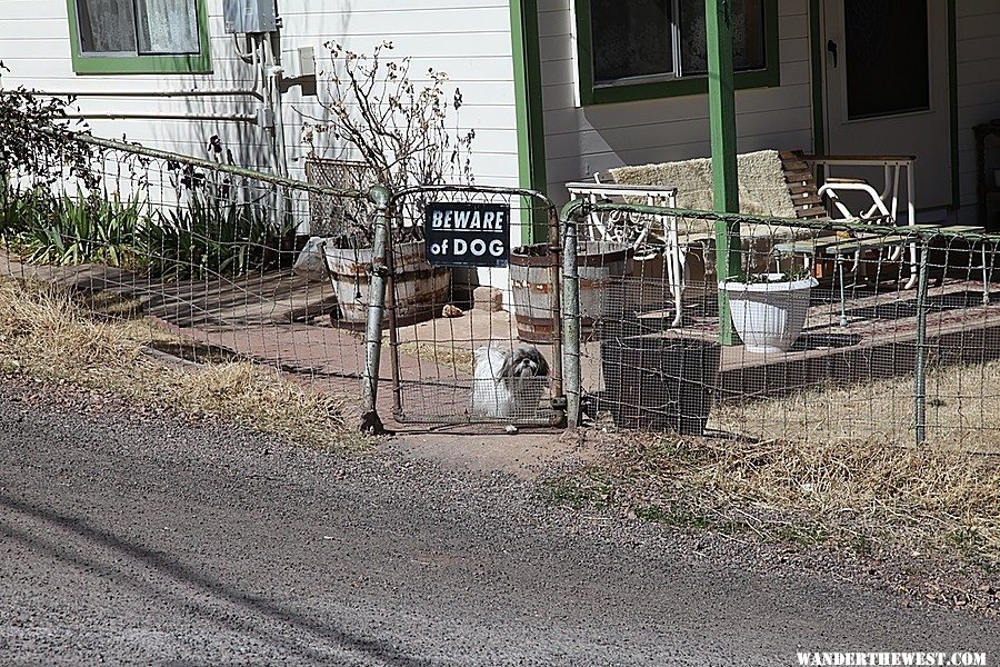 Beware of Dog - Bisbee