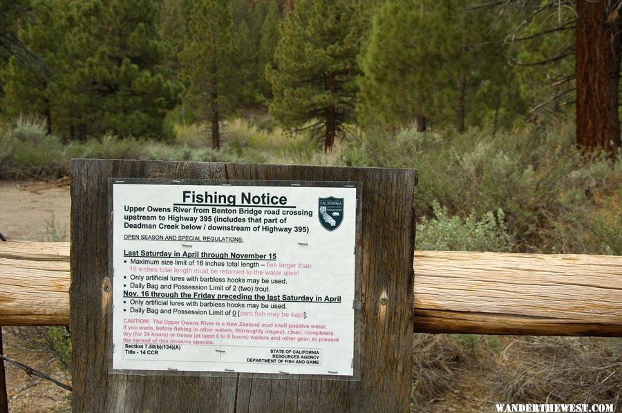 Big Springs Area on the Owens River