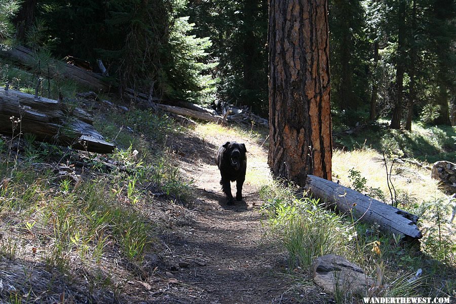 Black Canyon Trail - Ochoco Mountains