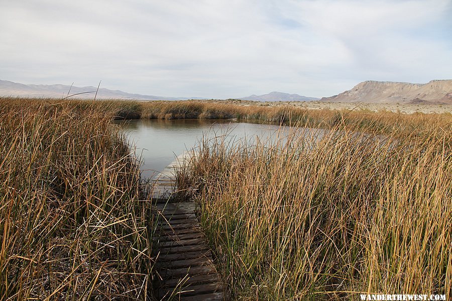 Black Rock Hot Springs