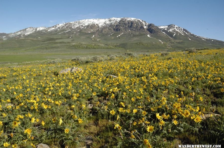 Bull Run Basin & Mountains