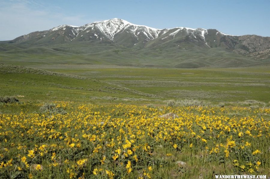 Bull Run Basin & Mountains