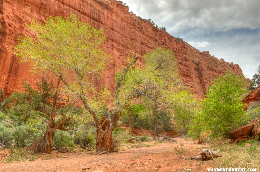 Burr Trail -- Long Canyon