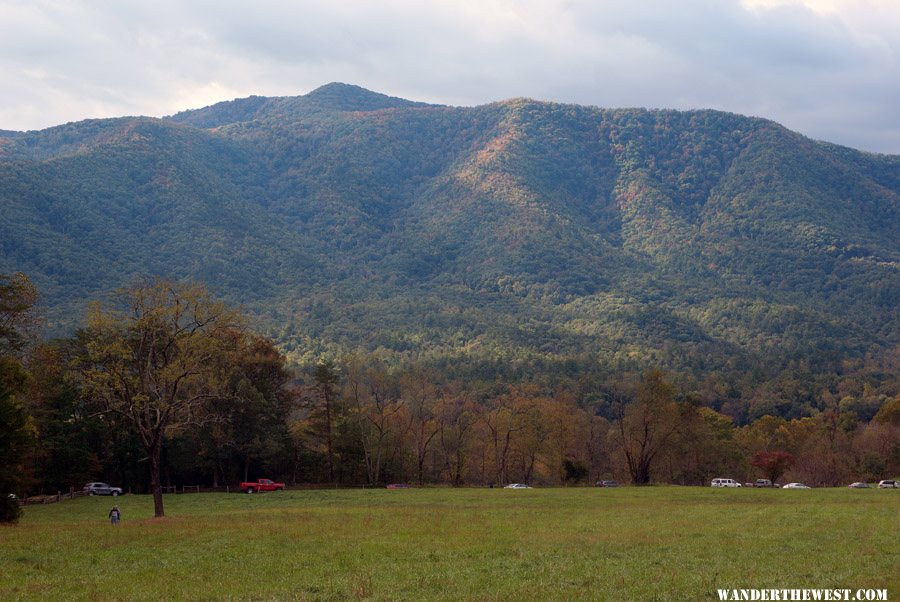 Cades Cove GSMNP