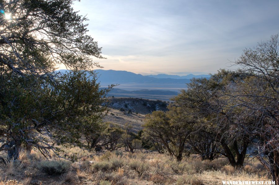 Camp Near Dobbin Summit, Monitor Range