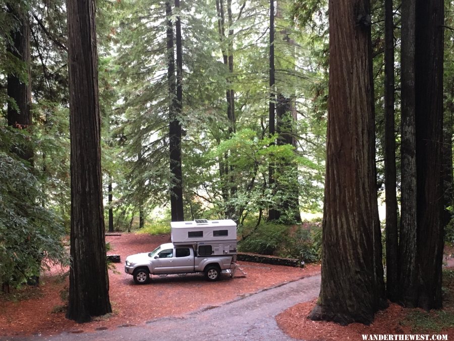 Camped in the Big Trees of Jedediah Smith Redwood State Park