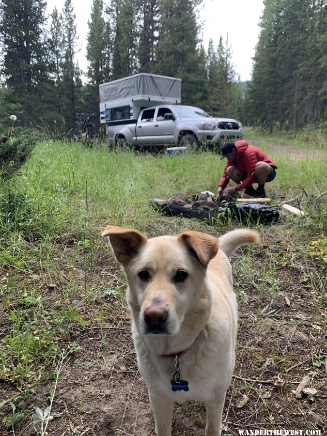 Camper In MT