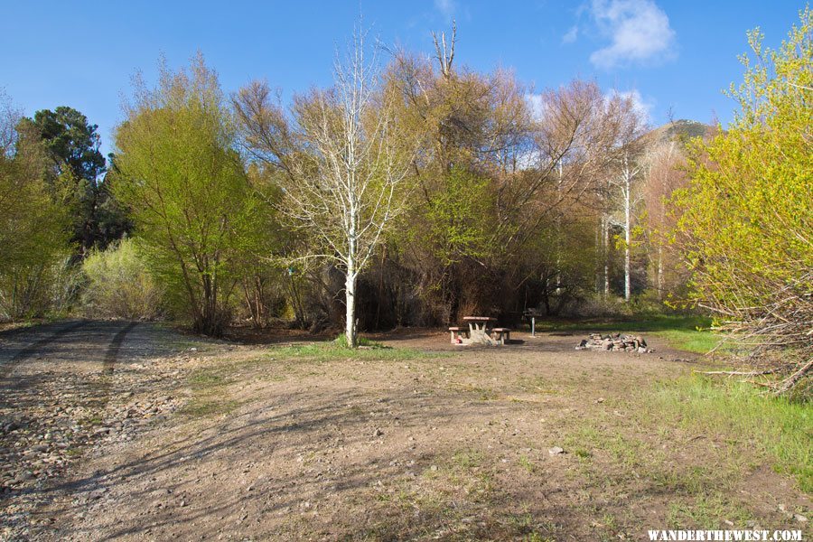 Campsite in Pine Creek Campground