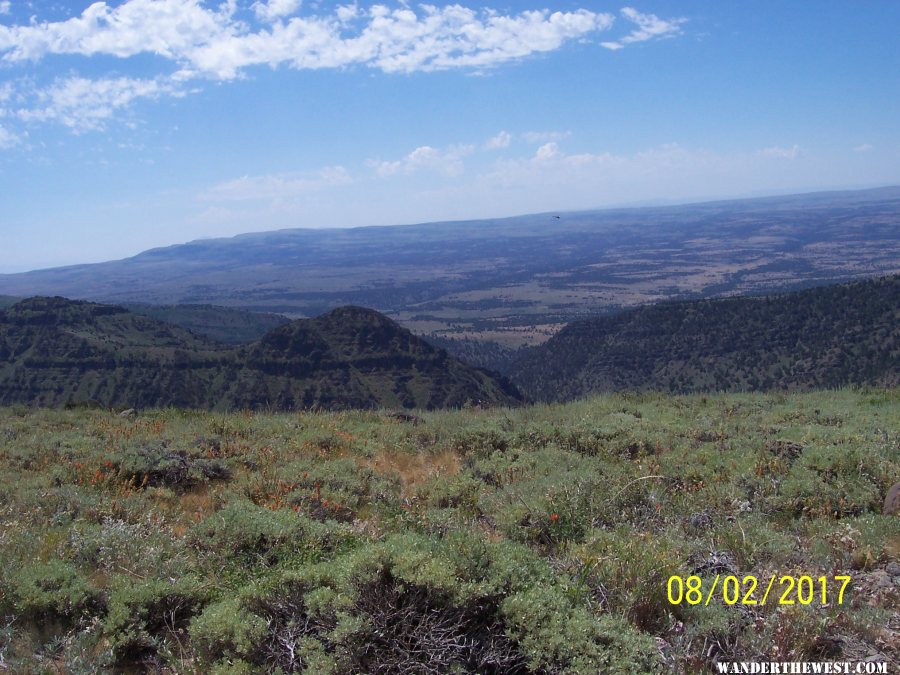 canyon near the top!