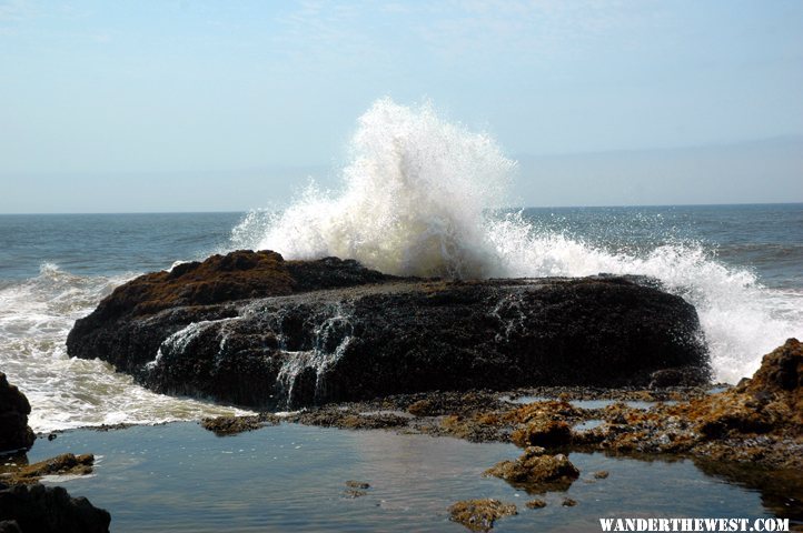 Cape Perpetua