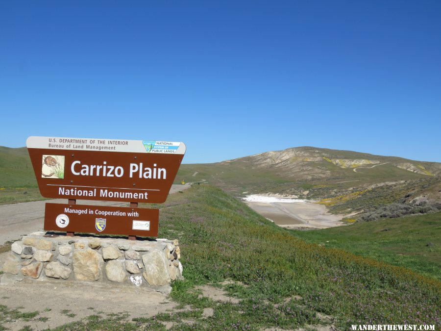 Carrizo Plain