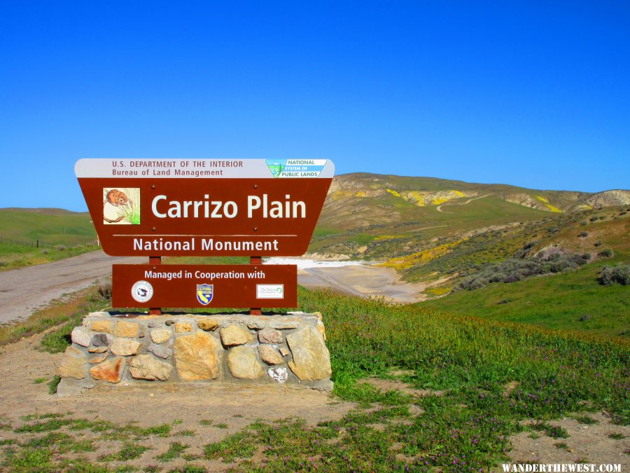 Carrizo Plain