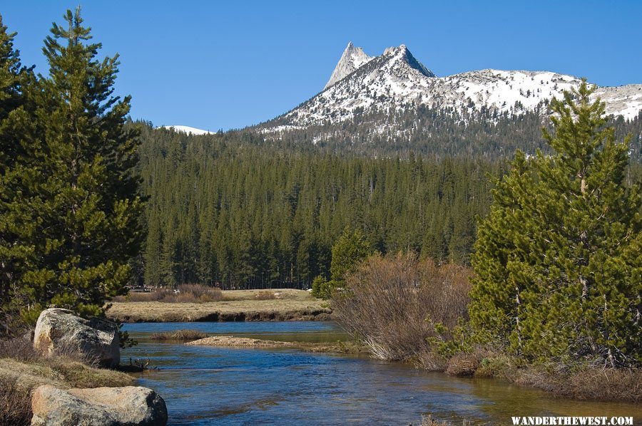 Cathedral Peak From Tuolumne Meadows