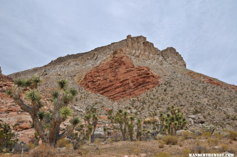 Cedar Pocket Road - Virgin River Gorge