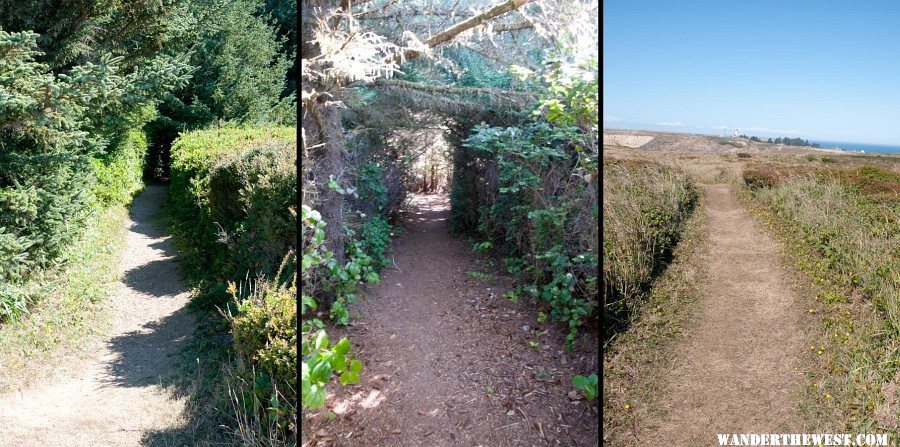 Cliff-Top Trail