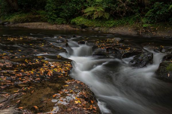 Creek, Laverne County Park, OR